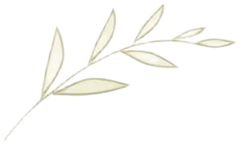 Trine Searle logo